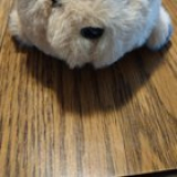 Please help ID