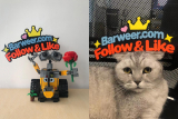 Maybe someone likes FREE Wall-E and little Wall-E baby building block toys?