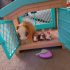 Do you think this toy set will be the kids’ favorite?