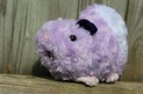 Would anyone buy my toy guinea pigs? Was thinking of trying a kickstarter