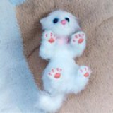 My realistic plushy cat (handmade)