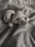 Is this an elephant 🐘 or a mouse 🐀 ?