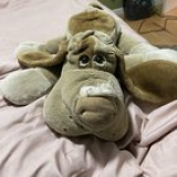 I know this is a long shot, but does anyone know anything about this guy? He was purchased in the late 90s/ early 2000’s, my mom doesn’t remember where. Pretty sure he’s not a pound puppy as he doesn’t have the tag on his back and can’t find any with the same marks. Thanks in advance :)
