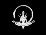 Cheap troop building xenomorphs (1:12 scale). 15$ =3 NECA Aliens!